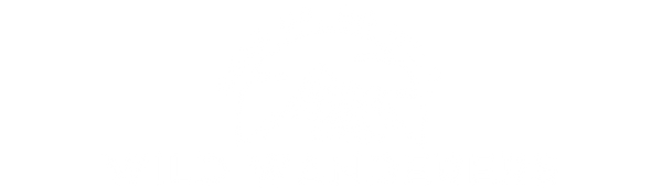 Wild Wanderers